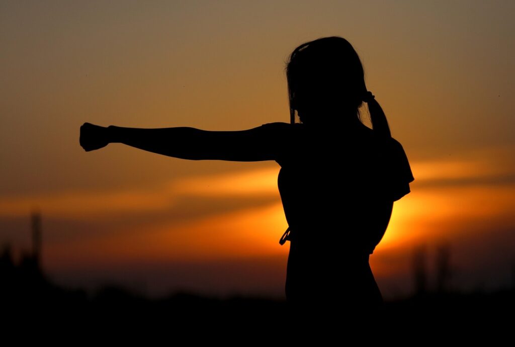 karate, sunset, nature, fight, sports, silhouette, resistance, samurai, fit, girl, self-defense, defense, fist, brown sunset, brown sports